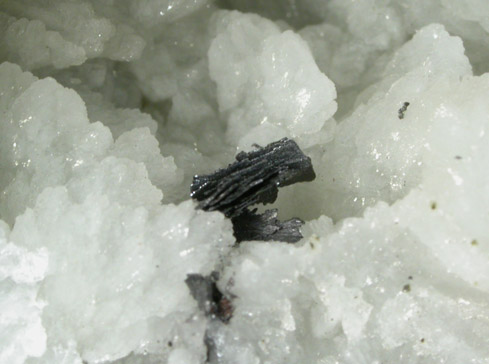 Pectolite on Datolite with Hematite from Millington Quarry, Bernards Township, Somerset County, New Jersey