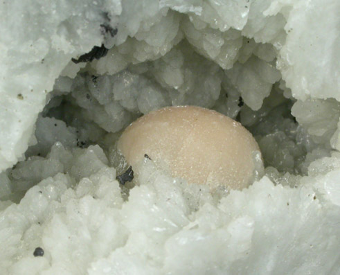 Pectolite on Datolite with Hematite from Millington Quarry, Bernards Township, Somerset County, New Jersey