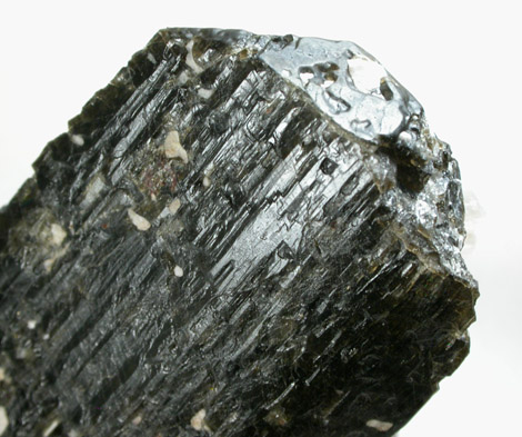 Fluoro-richterite (Fluororichterite) from Wilberforce, Ontario, Canada