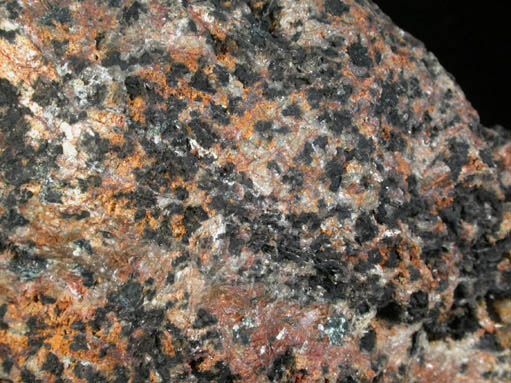 Heterogenite from Goodsprings District, Clark County, Nevada