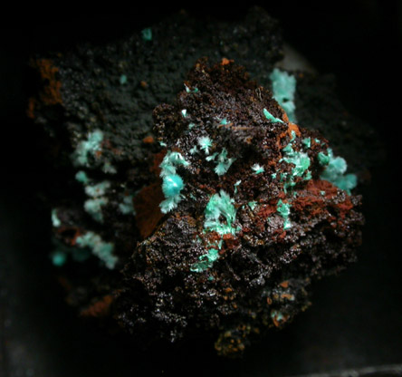 Rosasite and Aurichalcite from San Pedro Corralitos, Casas Grandes, Chihuahua, Mexico