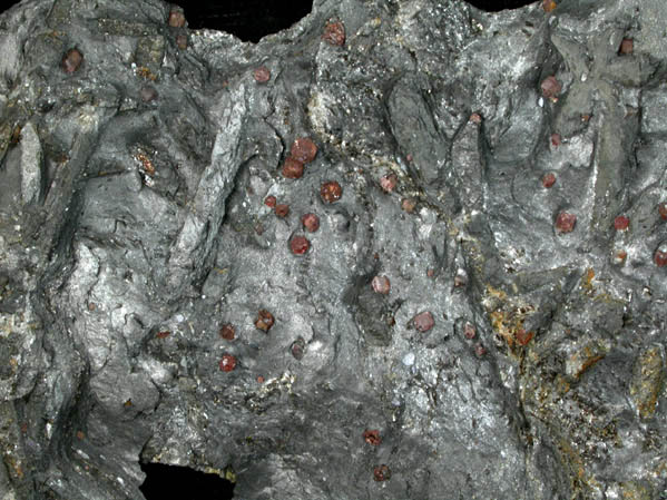 Staurolite with Almandine Garnet from Pipeline excavation, south of Diamond Lake, Glastonbury, Hartford County, Connecticut