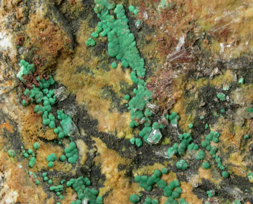 Rosasite from Goodsprings District, Clark County, Nevada