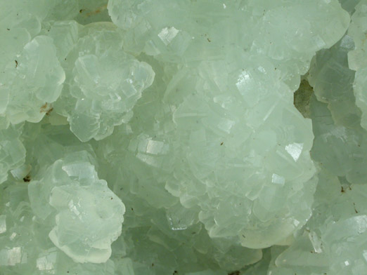 Prehnite from Route 78 Road Cut, Liberty Corner, Somerset County, New Jersey