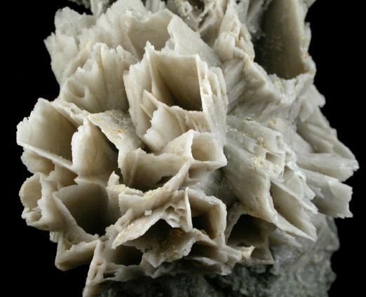 Quartz pseudomorphs after Glauberite from Houdaille Quarry (Consolidated Quarry), Little Falls Twp., north of Montclair State University, Essex County, New Jersey