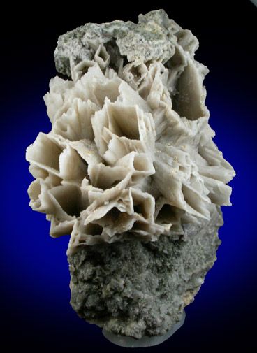 Quartz pseudomorphs after Glauberite from Houdaille Quarry (Consolidated Quarry), Little Falls Twp., north of Montclair State University, Essex County, New Jersey