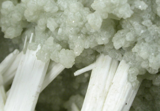 Natrolite, Prehnite, Calcite from Millington Quarry, Bernards Township, Somerset County, New Jersey