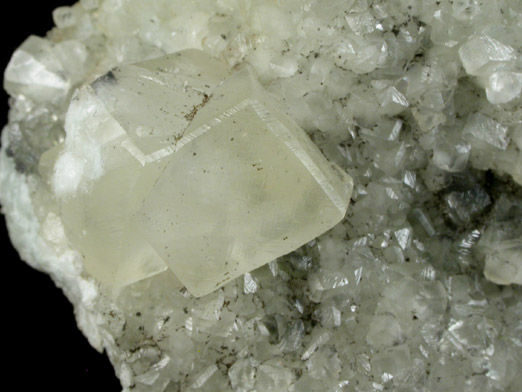 Calcite on Datolite from Millington Quarry, Bernards Township, Somerset County, New Jersey