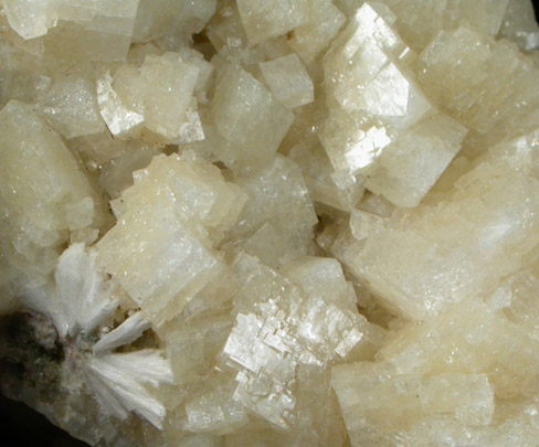 Chabazite-Ca, Calcite, Laumontite from Upper New Street Quarry, Paterson, Passaic County, New Jersey