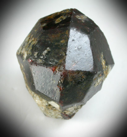 Almandine Garnet from Wissahickon Creek, Chestnut Hill, Philadelphia, Philadelphia County, Pennsylvania