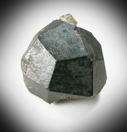 Almandine Garnet from Wissahickon Creek, Chestnut Hill, Philadelphia, Philadelphia County, Pennsylvania