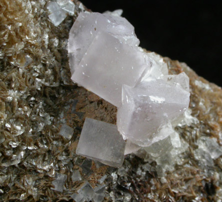 Fluorite, Sphalerite, Siderite from Weardale District, County Durham, England