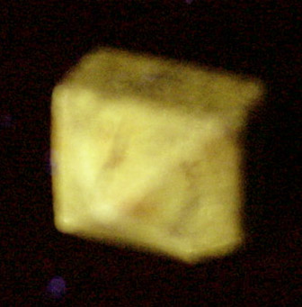 Zircon from Freeman Mine, Tuxedo, 3.2 km south of Zirconia, Henderson County, North Carolina