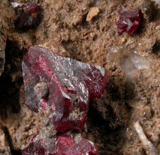 Cinnabar (penetration twins) on Quartz-rich matrix from Red Bird Mine, Antelope Springs District, 24 km east of Lovelock, Pershing County, Nevada