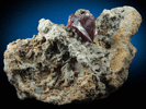 Cinnabar (penetration twin) on Quartz-rich matrix from Red Bird Mine, Antelope Springs District, 24 km east of Lovelock, Pershing County, Nevada