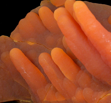 Calcite (stalactitic) from Bud Ehrle Locality, near Miles City, Carter County, Montana