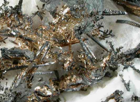 Silver in Calcite from Andres del Rio District, Batopilas, Chihuahua, Mexico