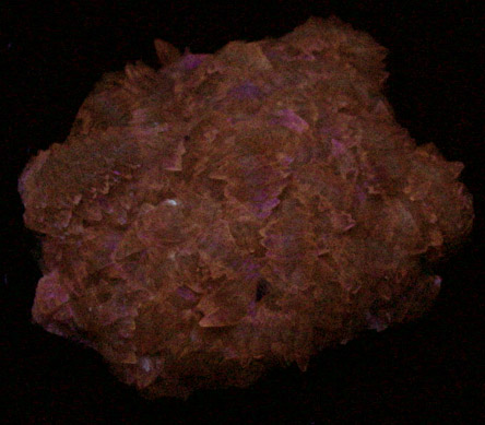 Calcite on Fluorite from Minerva #1 Mine, Cave-in-Rock District, Hardin County, Illinois