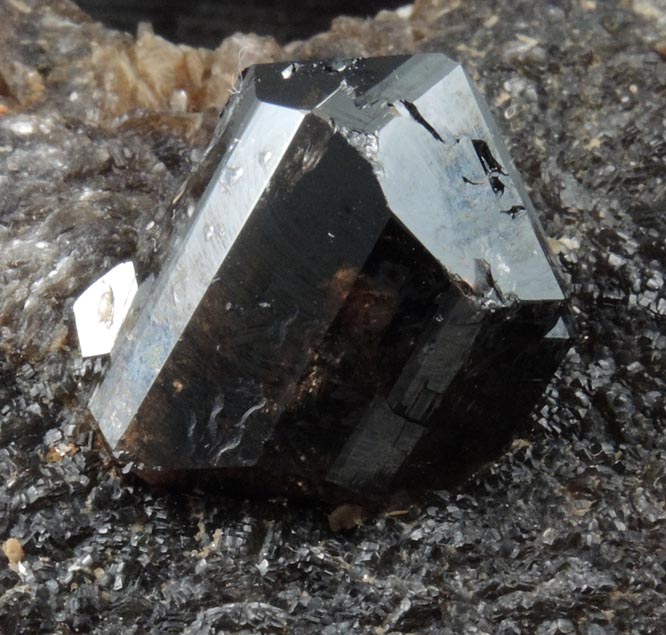 Cassiterite on Muscovite from Tenkerchin (Tenkergin) Mine, Chukotka (Tschukotka), Magadan Oblast', Russia