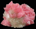 Rhodochrosite on Quartz from Uchucchaqua Mine, Oyon Province, Lima Department, Peru