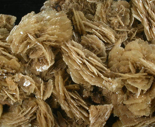 Barite from Mapimi, Durango, Mexico