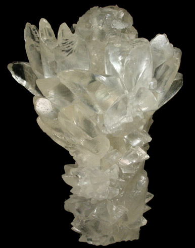 Calcite (stalactite) from Florida Lime Co. Quarry, Brooksville, Hernando County, Florida