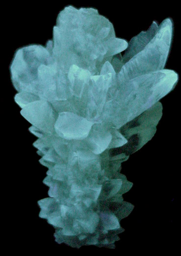 Calcite (stalactite) from Florida Lime Co. Quarry, Brooksville, Hernando County, Florida
