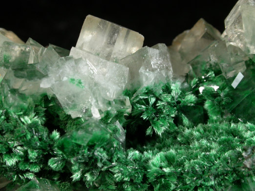 Calcite over Malachite from Tsumeb Mine, Otavi-Bergland District, Oshikoto, Namibia