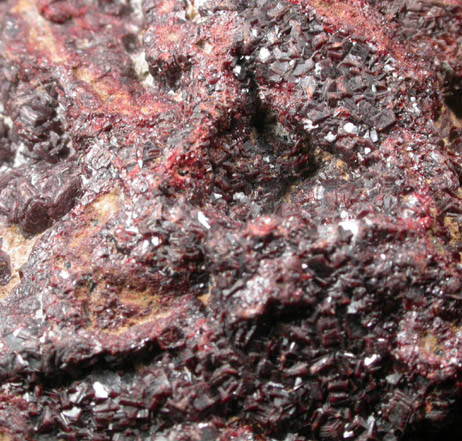 Cassiterite from Pedro Guerra Prospect, Sapioris, Coneto de Comonfort, Durango, Mexico
