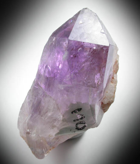 Quartz var. Amethyst Quartz from Amelia Courthouse, Amelia County, Virginia