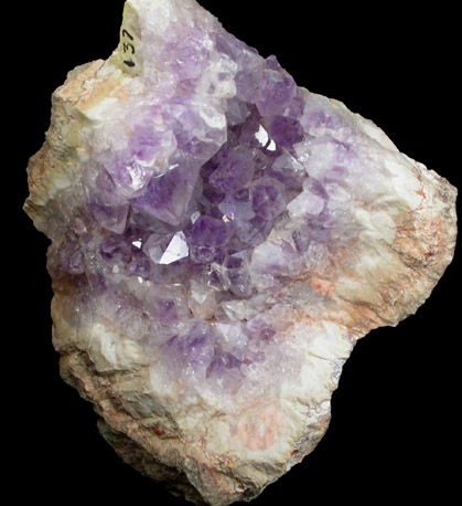 Quartz var. Amethyst Quartz from (Amethyst Cove), Kings County, Nova Scotia, Canada