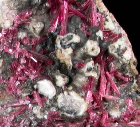 Erythrite on Mansfieldite from Mina Sara Alicia, San Bernardo, Sonora, Mexico