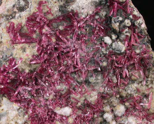 Erythrite on Mansfieldite from Mina Sara Alicia, San Bernardo, Sonora, Mexico