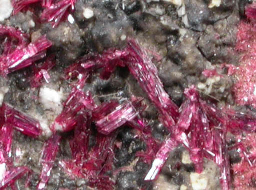 Erythrite on Mansfieldite with Heterogenite from Mina Sara Alicia, San Bernardo, Sonora, Mexico