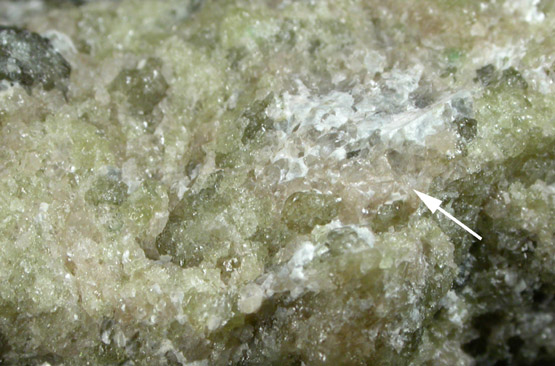 Fluorellestadite var. Wilkeite in Vesuvianite from Crestmore Quarry, Riverside County, California (Type Locality for Wilkeite)