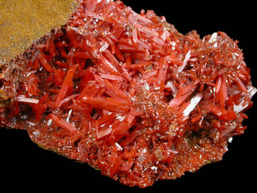 Crocoite from Dundas, Tasmania, Australia