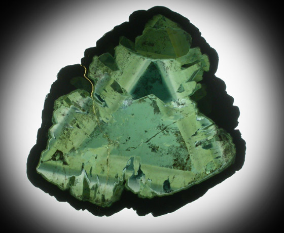 Liddicoatite Tourmaline from Alakamisy Itenina, south of Antsirabe, Fianarantsoa, Haute Matsiatra, Madagascar (Type Locality for Liddicoatite = near Antsirab)