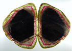 Liddicoatite Tourmaline (mounted set of 2 matched polished slices from a single crystal) from Alakamisy Itenina, south of Antsirabé, Fianarantsoa, Haute Matsiatra, Madagascar (Type Locality for Liddicoatite = near Antsirabé)
