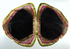 Liddicoatite Tourmaline (mounted set of 2 matched polished slices from a single crystal) from Alakamisy Itenina, south of Antsirab, Fianarantsoa, Haute Matsiatra, Madagascar (Type Locality for Liddicoatite = near Antsirab)