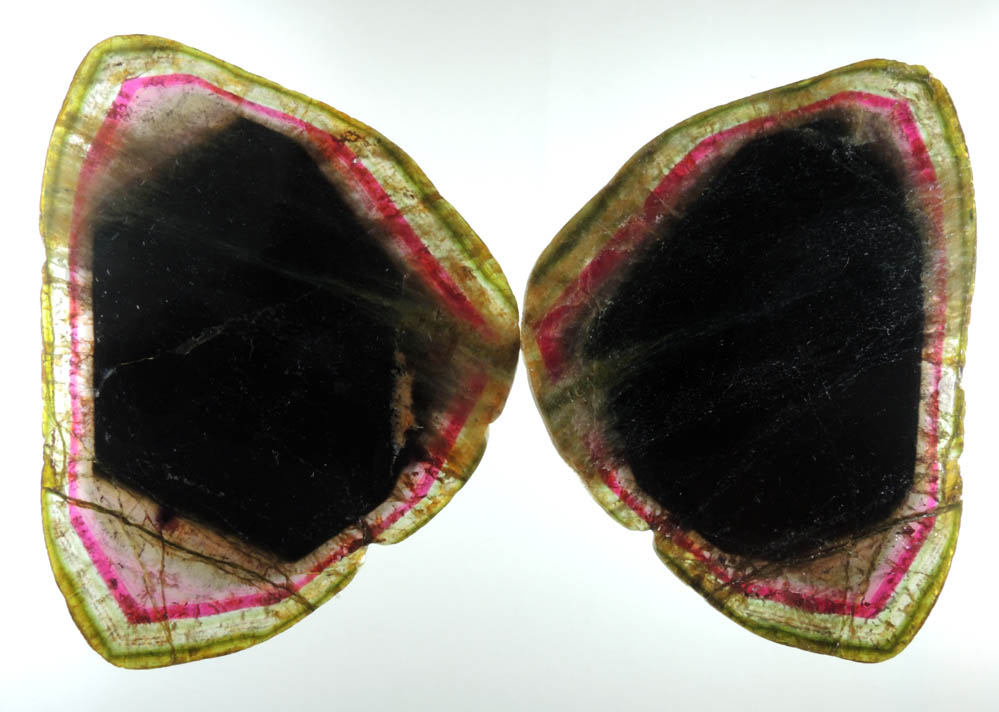 Liddicoatite Tourmaline (mounted set of 2 matched polished slices from a single crystal) from Alakamisy Itenina, south of Antsirab, Fianarantsoa, Haute Matsiatra, Madagascar (Type Locality for Liddicoatite = near Antsirab)