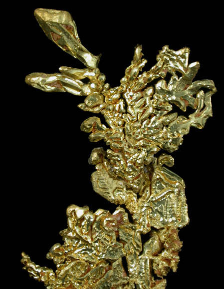 Gold from Eagle's Nest Mine, Michigan Bluff District, Placer County, California