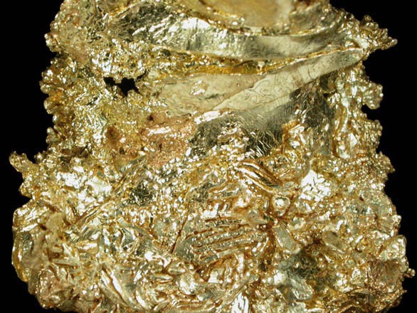 Gold from Eagle's Nest Mine, Michigan Bluff District, Placer County, California