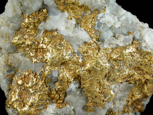 Gold in Quartz from Hangtown, Placerville, El Dorado County, California