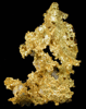 Gold (crystallized) from Idaho Pit, Kalgoorlie Consolidated Gold Mines, Boulder, Western Australia, Australia