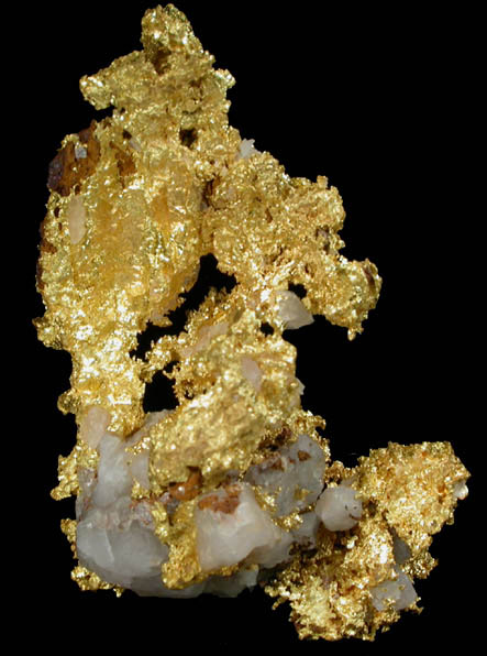 Gold from Idaho Pit, Kalgoorlie Consolidated Gold Mines, Boulder, Western Australia, Australia