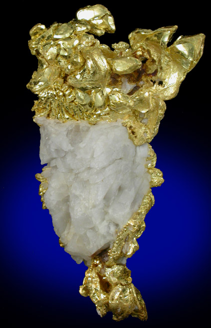 Gold from Eagle's Nest Mine, Michigan Bluff District, Placer County, California