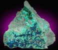 Cornetite on Chrysocolla with Malachite from L'Etoile du Congo Mine, Lubumbashi, Katanga Copperbelt, Haut-Katanga Province, Democratic Republic of the Congo (Type Locality for Cornetite)