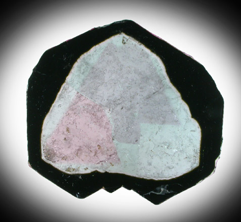 Liddicoatite Tourmaline from Alakamisy Itenina, south of Antsirabe, Fianarantsoa, Haute Matsiatra, Madagascar (Type Locality for Liddicoatite = near Antsirab)