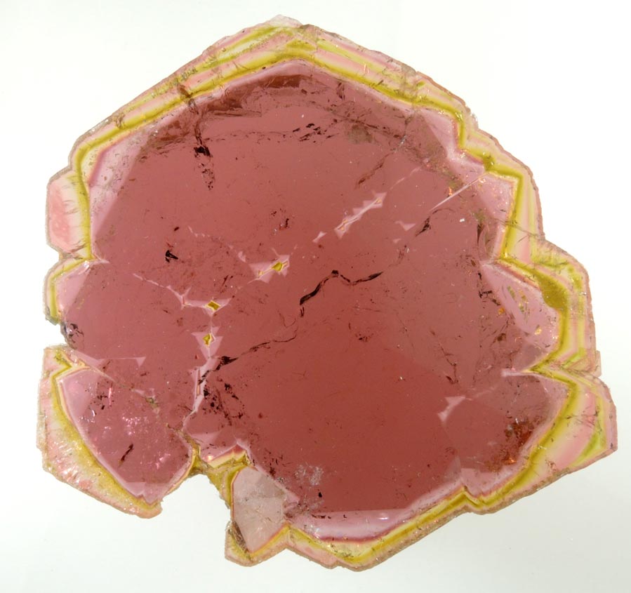 Liddicoatite Tourmaline (polished slice) from Alakamisy Itenina, south of Antsirab, Fianarantsoa, Haute Matsiatra, Madagascar (Type Locality for Liddicoatite = near Antsirab)