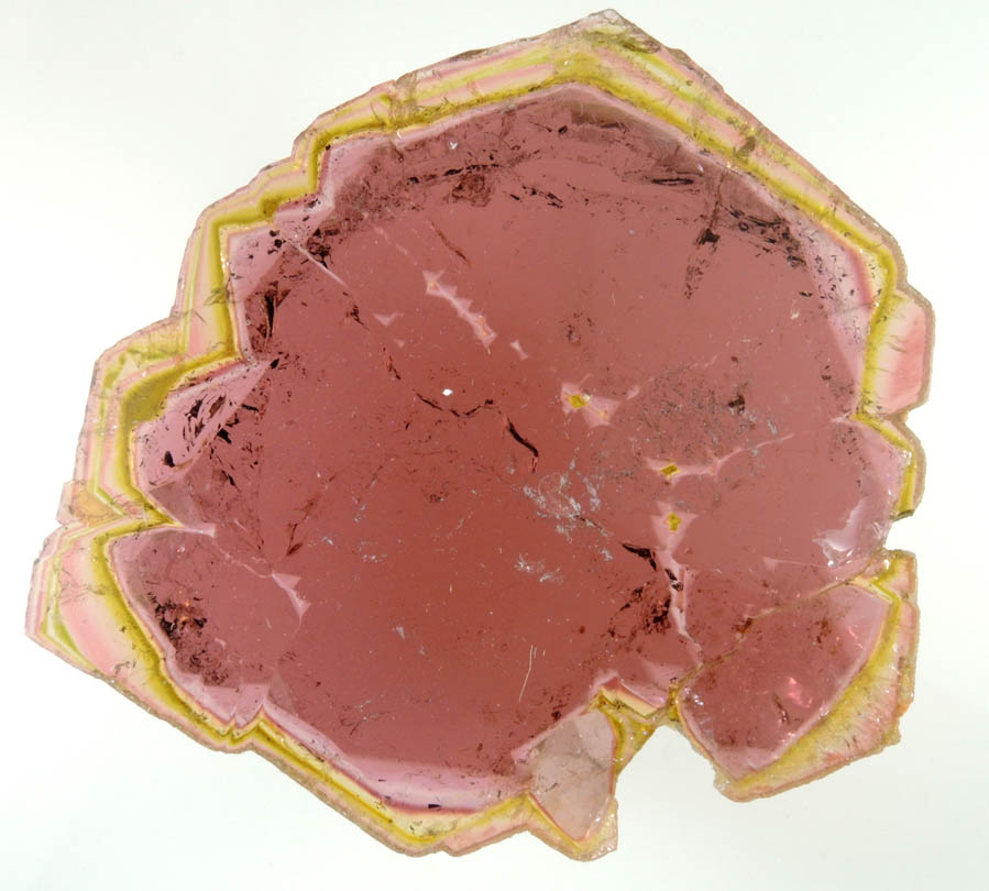 Liddicoatite Tourmaline (polished slice) from Alakamisy Itenina, south of Antsirab, Fianarantsoa, Haute Matsiatra, Madagascar (Type Locality for Liddicoatite = near Antsirab)